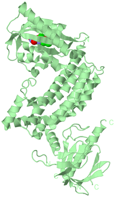 Image Biological Unit 2