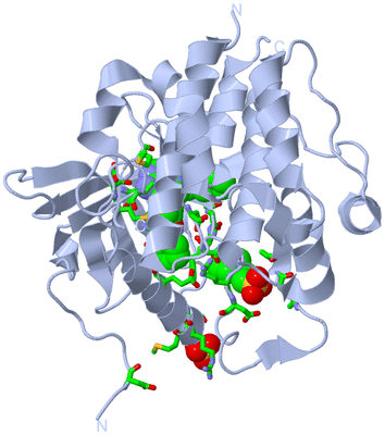 Image Biol. Unit 1 - sites