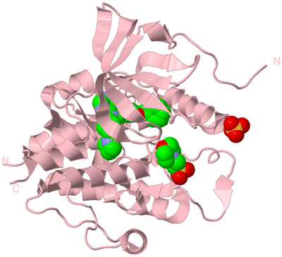 Image Biological Unit 3