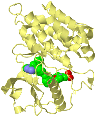 Image Biological Unit 4