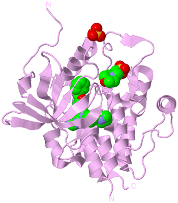 Image Biological Unit 5