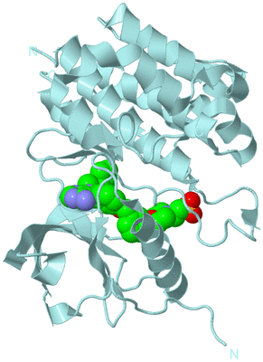 Image Biological Unit 6