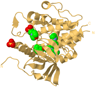 Image Biological Unit 7