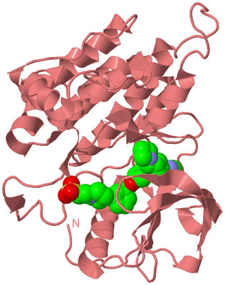 Image Biological Unit 8