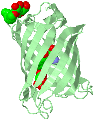 Image Biological Unit 2