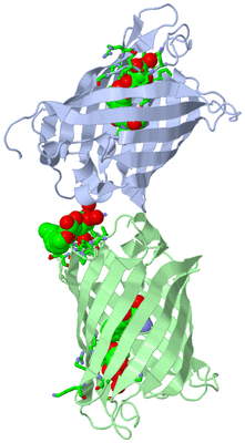 Image Asym. Unit - sites