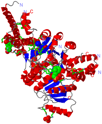 Image Asym./Biol. Unit - sites