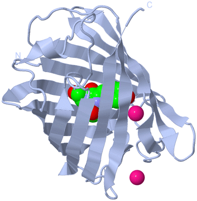 Image Biological Unit 1