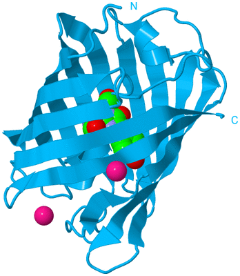 Image Biological Unit 10