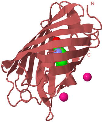 Image Biological Unit 11