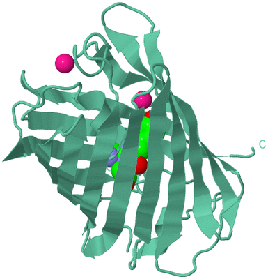 Image Biological Unit 12