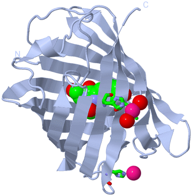 Image Biol. Unit 1 - sites