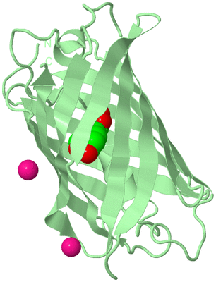 Image Biological Unit 2