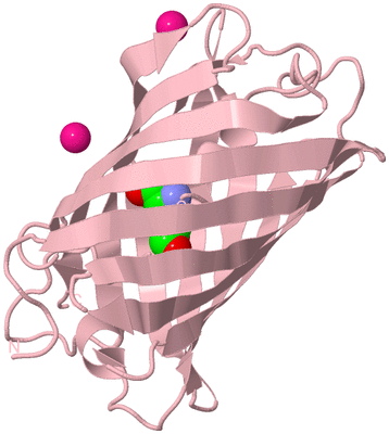 Image Biological Unit 3