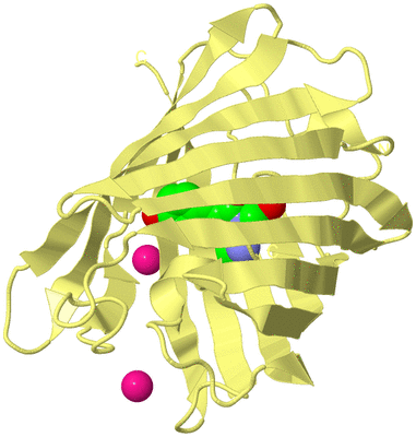 Image Biological Unit 4