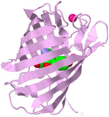 Image Biological Unit 5