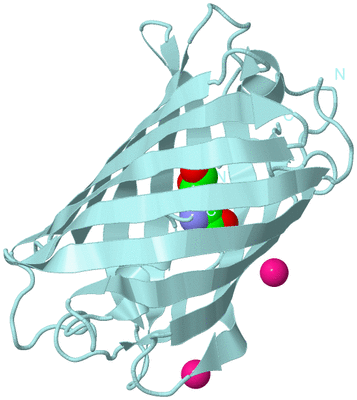 Image Biological Unit 6