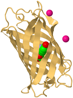 Image Biological Unit 7