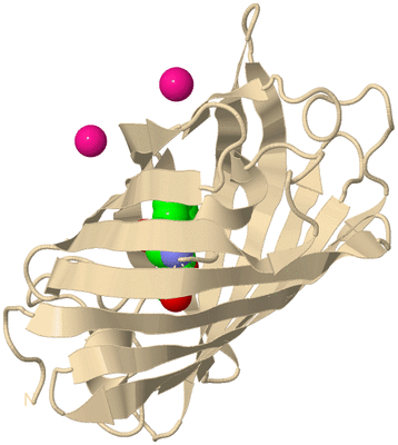 Image Biological Unit 9