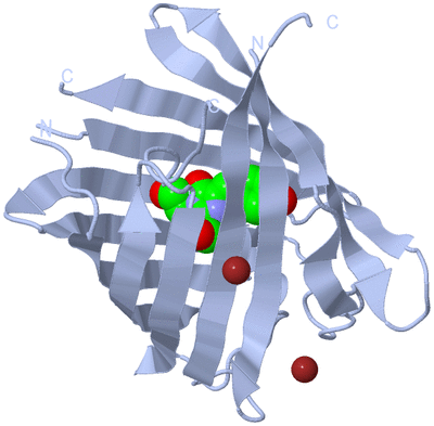 Image Biological Unit 1