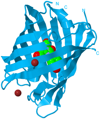 Image Biological Unit 10