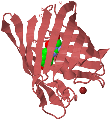 Image Biological Unit 11