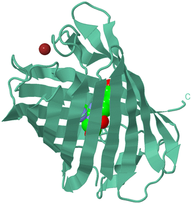 Image Biological Unit 12