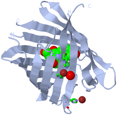 Image Biol. Unit 1 - sites