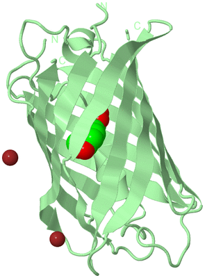 Image Biological Unit 2