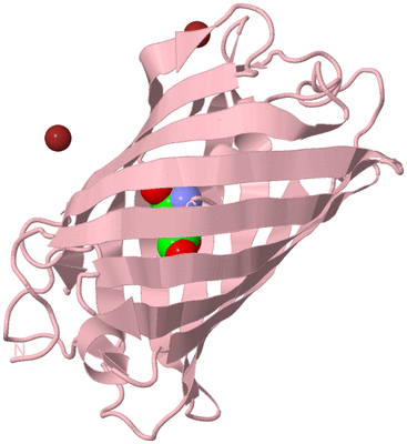 Image Biological Unit 3