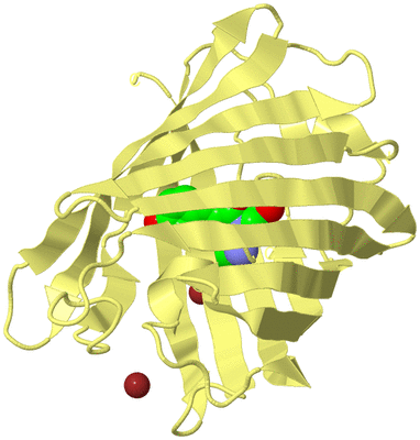 Image Biological Unit 4