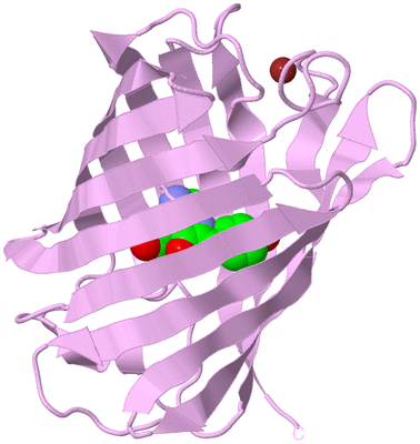 Image Biological Unit 5