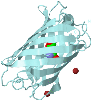 Image Biological Unit 6