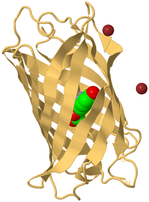 Image Biological Unit 7