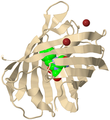 Image Biological Unit 9