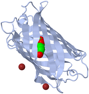 Image Biological Unit 1