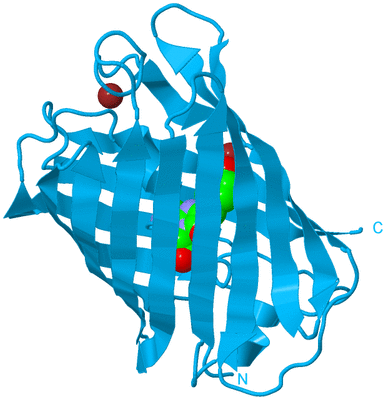 Image Biological Unit 10