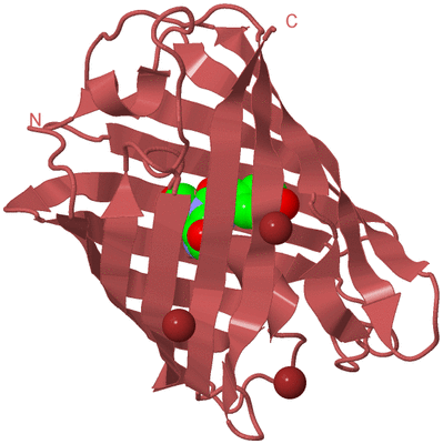 Image Biological Unit 11