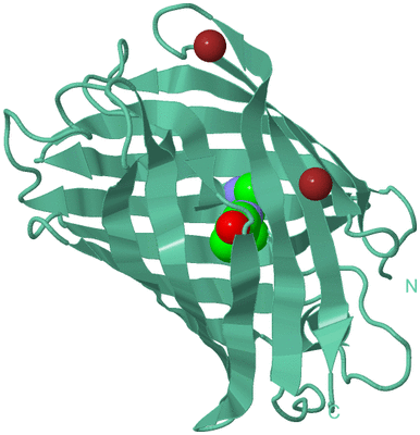 Image Biological Unit 12