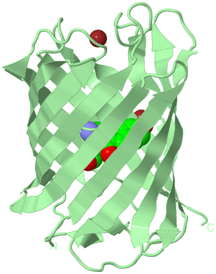 Image Biological Unit 2