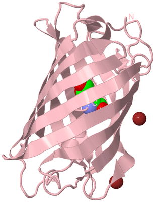 Image Biological Unit 3