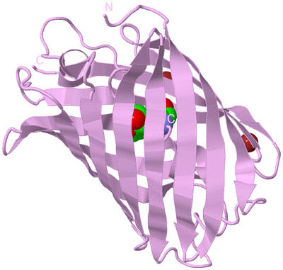 Image Biological Unit 5