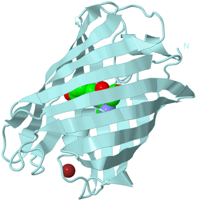 Image Biological Unit 6