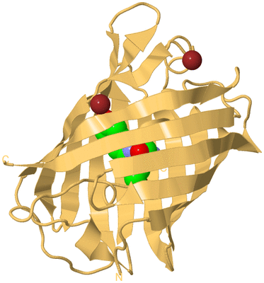 Image Biological Unit 7