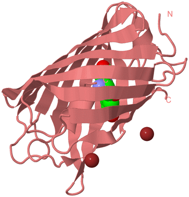 Image Biological Unit 8