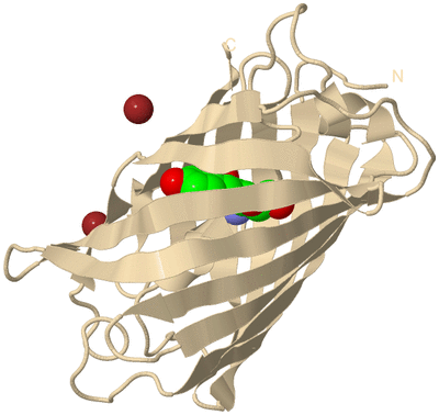 Image Biological Unit 9