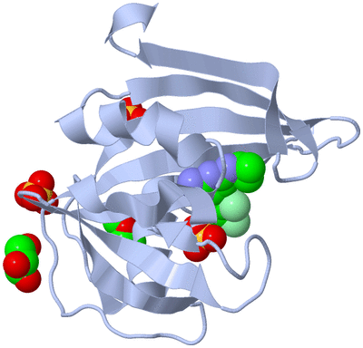 Image Biological Unit 1