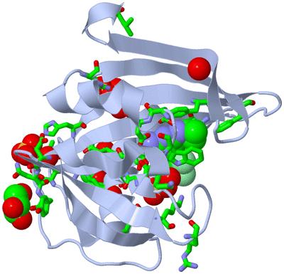 Image Biol. Unit 1 - sites