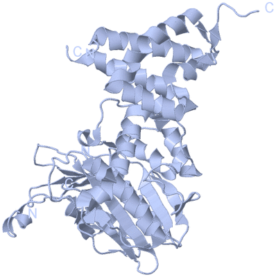 Image Biological Unit 1