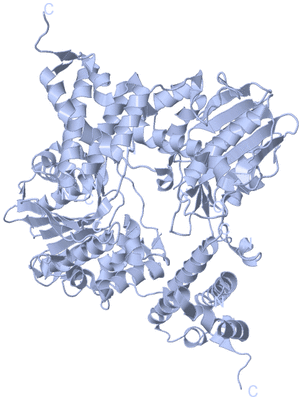 Image Biological Unit 2